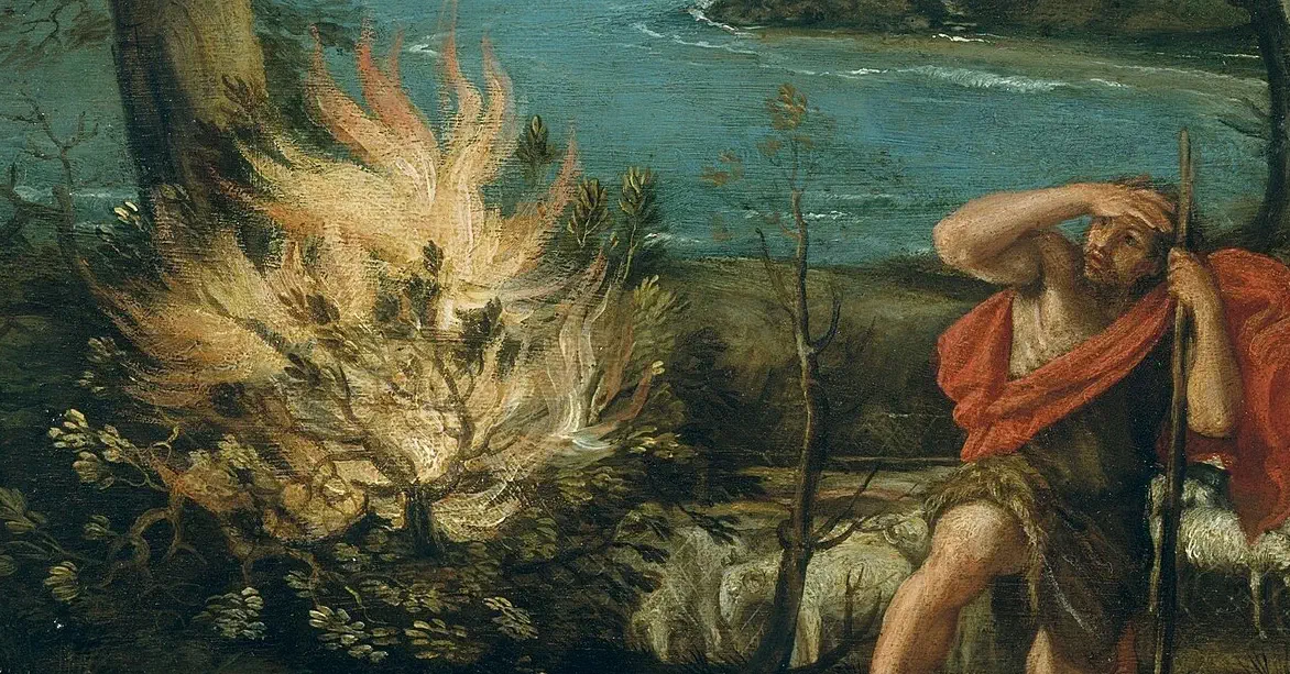 Who Jesus is and why he says I am 37 times in the New Testament