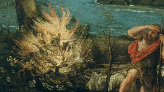 Who Jesus is and why he says I am 37 times in the New Testament